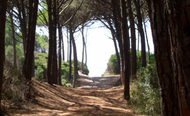 Cecina_Mare_02