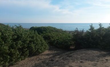 Cecina_Mare_06